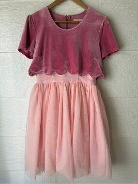 Ivy City Co Sugarplum Velvet Tulle Dress Pink Size 4
